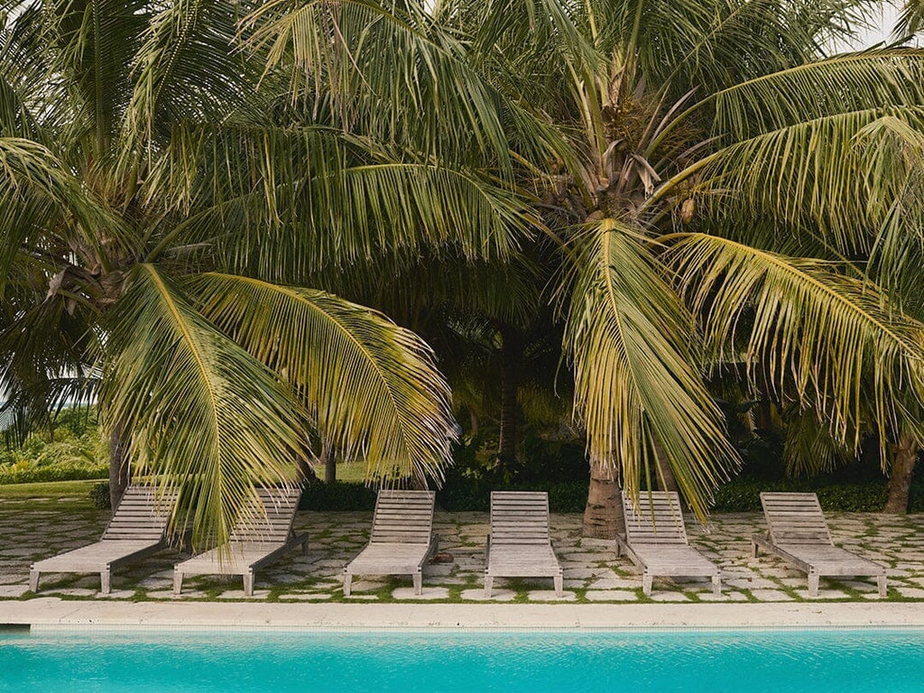 Top spring break destinations featuring beach resorts, coastal towns, and popular vacation spots for a spring getaway.